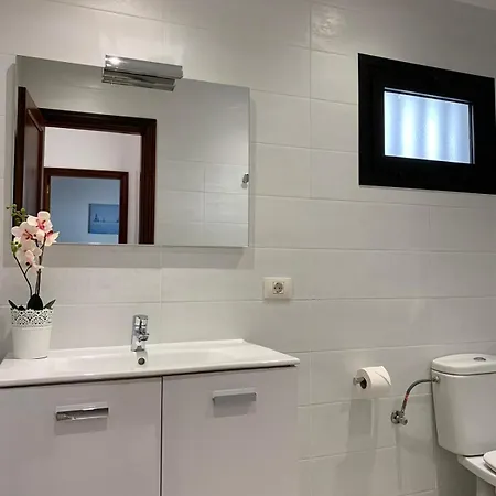 Palm * Puerto del Carmen (Lanzarote)